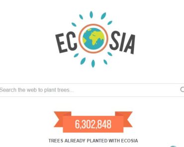 Screenshot of Ecosia Web Search Engine