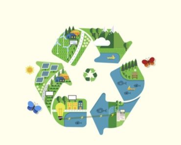 How to make your Organization Green
