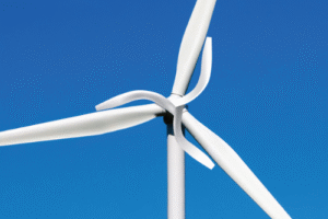 Nature-Inspired Innovations Boosting Wind Turbine Efficiency